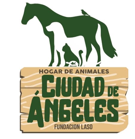 Ciudad de Ángeles