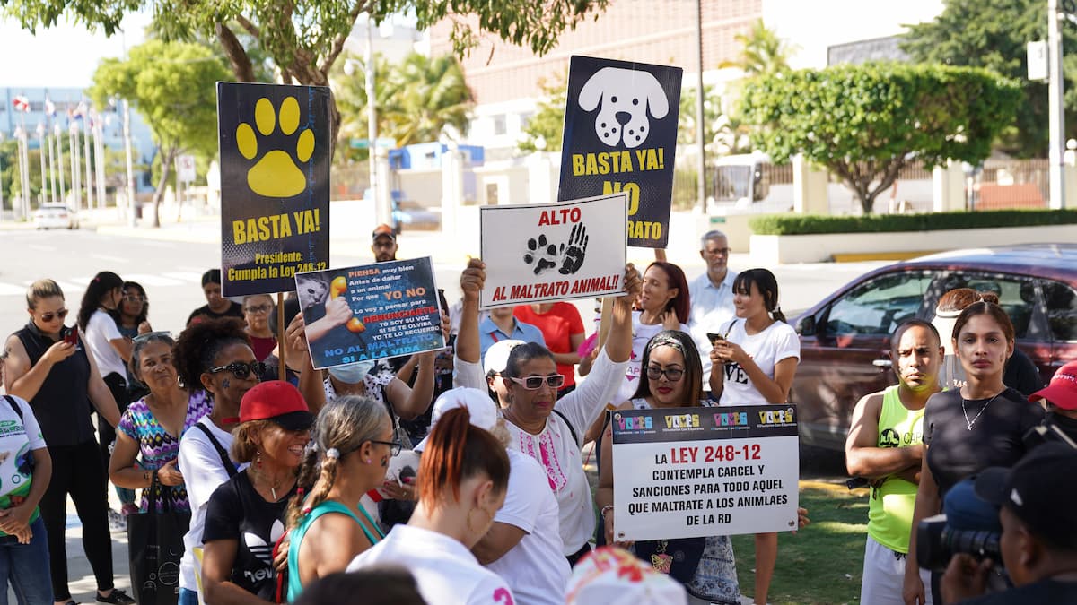 Banner animal