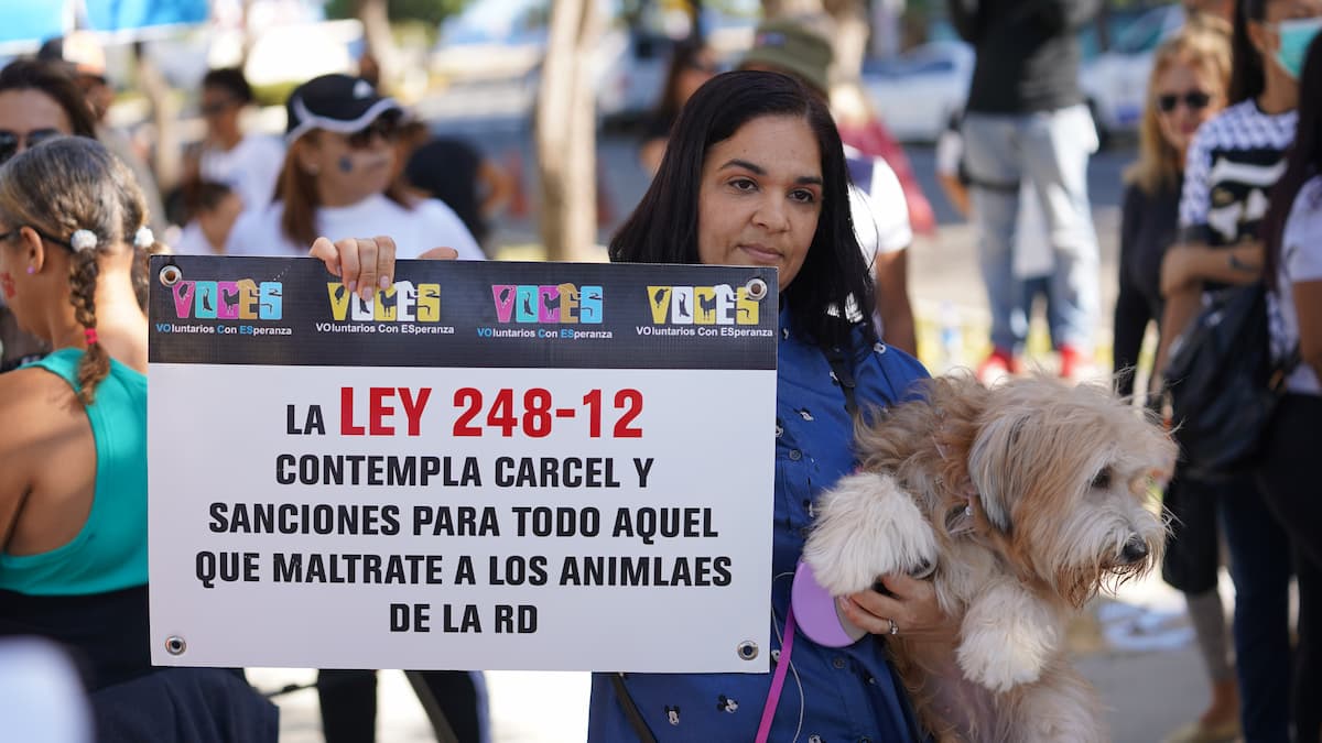 Banner Voluntariado